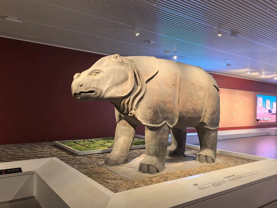A Tang stone rhinoceros on an open sand-bed plinth in a bright modern gallery with a deep-red feature wall, track lighting and a video screen.