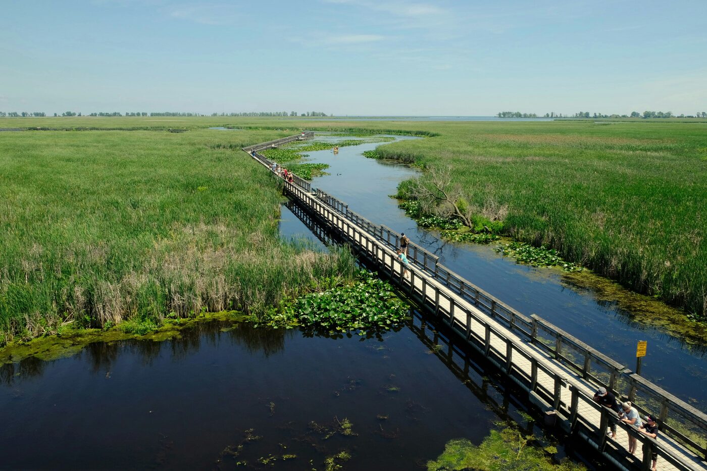 Calm waterways and reed beds at Xixi National Wetland Park on the western edge of Hangzhou.