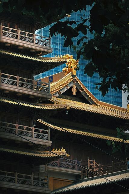 Close-up of Jing'an Temple's golden tiered eaves and gilded ridge ornaments against a blue glass office tower.