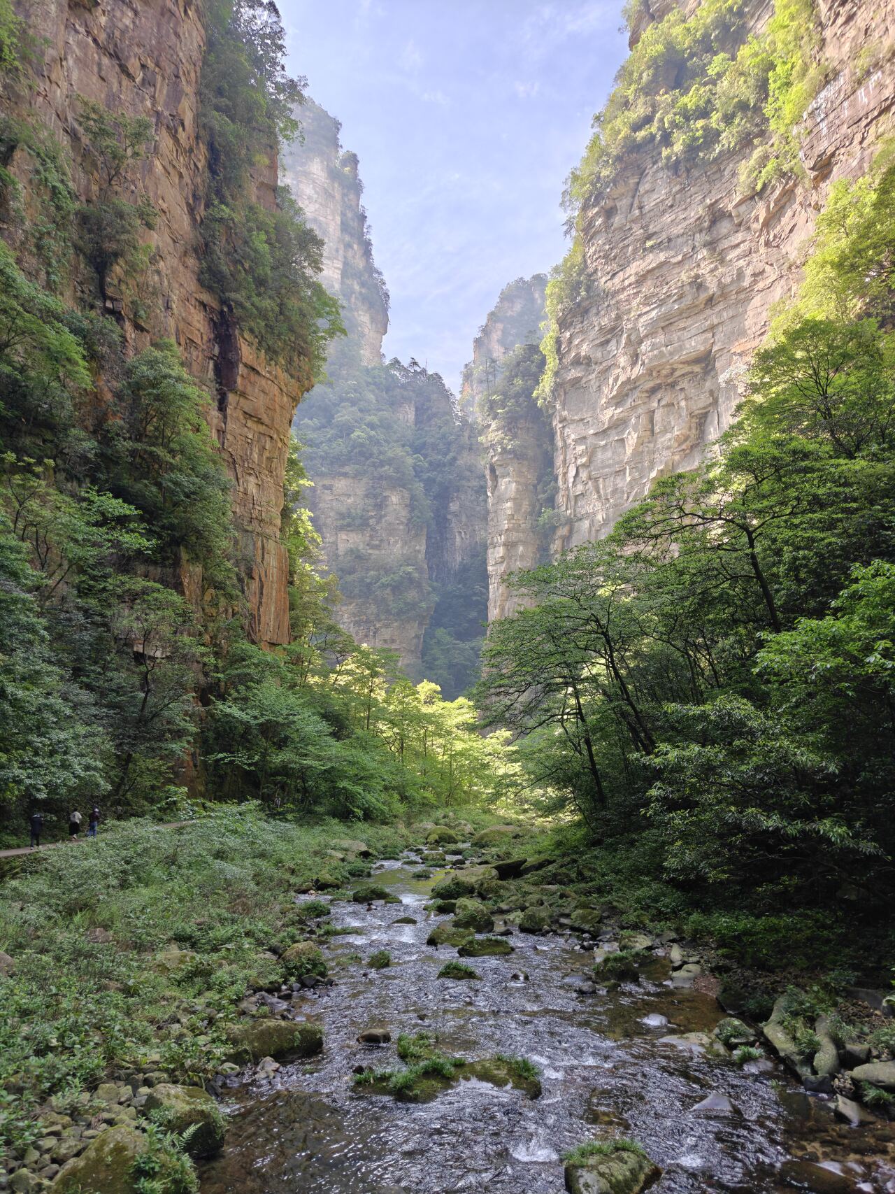 Il torrente del Golden Whip Stream tra le pareti di arenaria del fondovalle, Zhangjiajie.