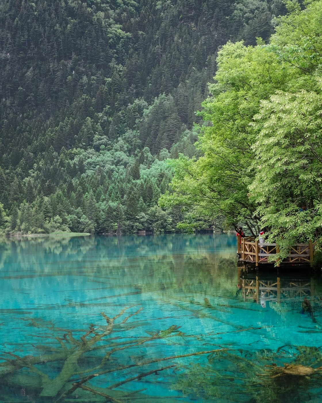 Turquoise terraced lakes and autumn forest in Jiuzhaigou valley, northern Sichuan.