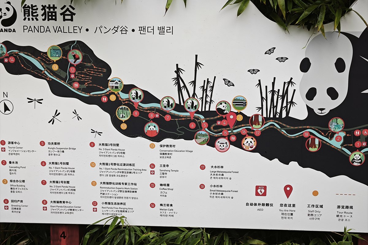 The Panda Valley site map, captioned in Chinese, English, Japanese and Korean, showing panda houses, a reintroduction training area and a red-panda free-ranging area.