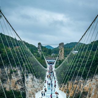 Visitors crossing the transparent glass deck of the Zhangjiajie Grand Canyon glass bridge.