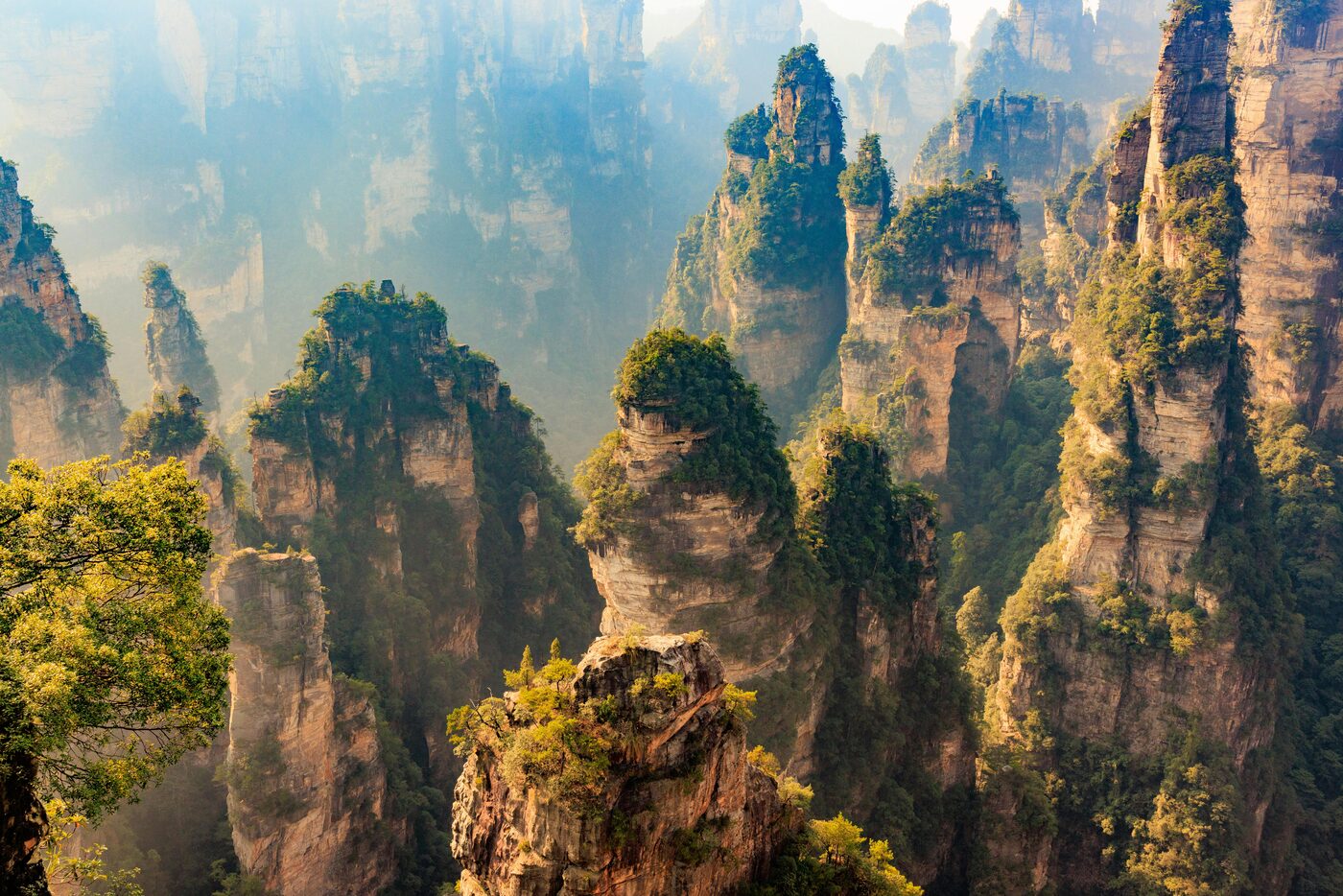 Quartz-sandstone pillars of Zhangjiajie National Forest Park rising out of subtropical forest in Wulingyuan, Hunan — the landscape that inspired the floating mountains in Avatar.